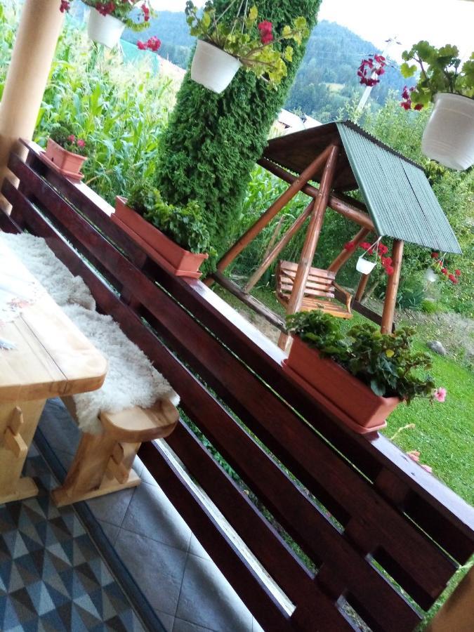 Hotel Casa Prundari Nicu Si Mirela à Poiana Teiului Extérieur photo