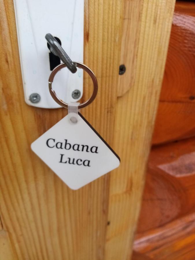 Hotel Casa Prundari Nicu Si Mirela à Poiana Teiului Extérieur photo