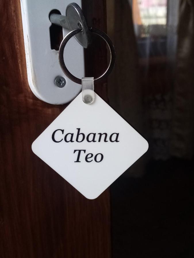 Hotel Casa Prundari Nicu Si Mirela à Poiana Teiului Extérieur photo