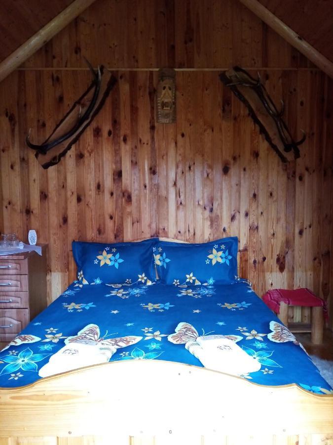 Hotel Casa Prundari Nicu Si Mirela à Poiana Teiului Extérieur photo